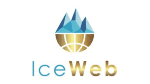 web design miami theiceweb.com