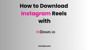 How to Download Instagram Reels with indown.io download