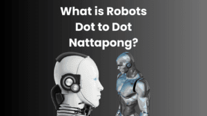 What is Robots Dot to Dot Nattapong?
