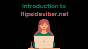 Introduction to flipsideviber.net